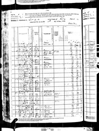 1880 Census Record Kentucky, Shelby County 