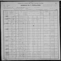 1900 Census Record Indiana, Wells County, Harrison Township, Bluffton