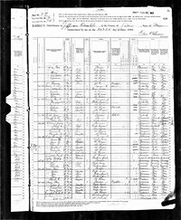 1880 Census Record Missouri, Saline County, Jefferson  