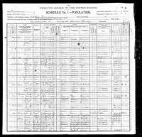 1900 Census Record Missouri, Nodaway County, Hopkins (Part 1 of 2)