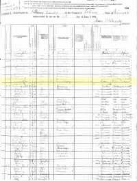 1880 Census Record Minnesota, Le Sueur County, Kilkenny